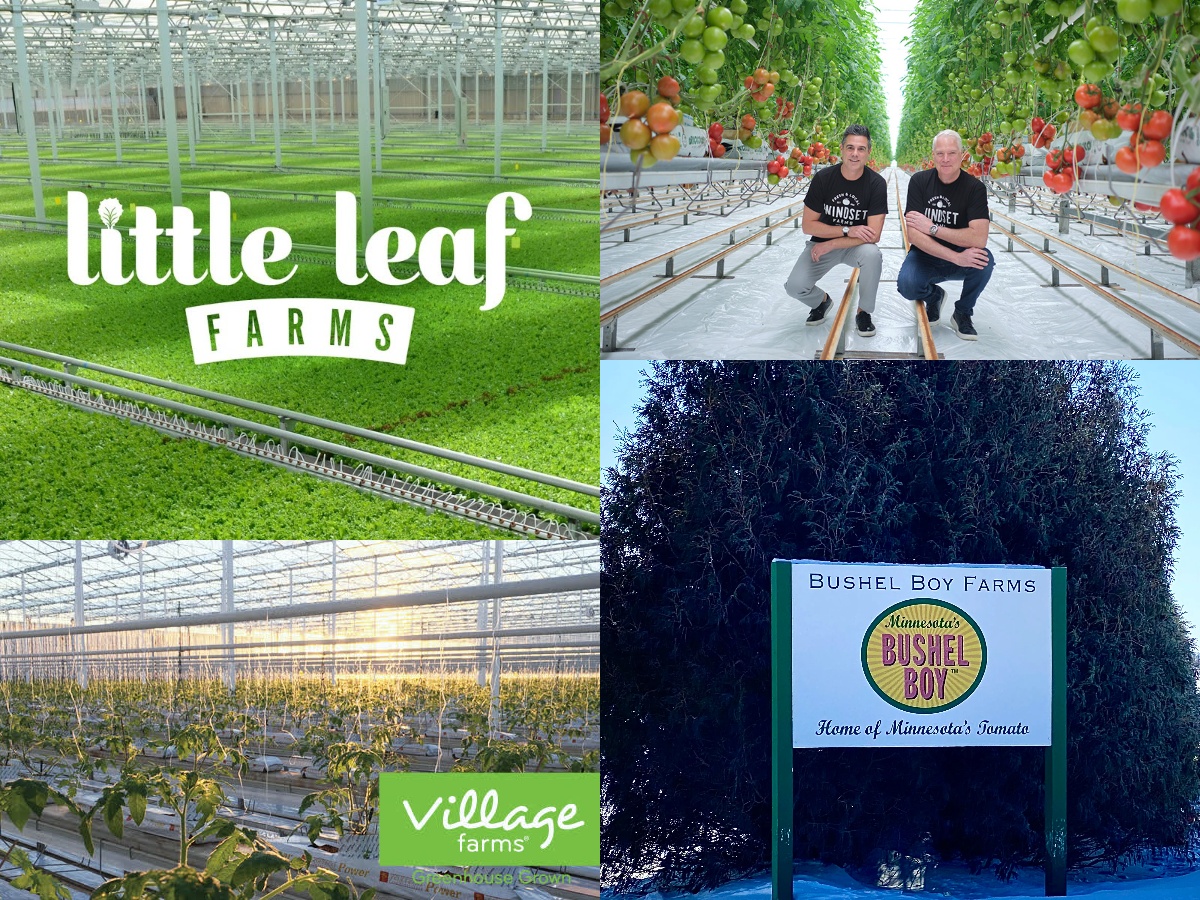 Top 10 Largest Greenhouse Produce Growers in the USA 2025
