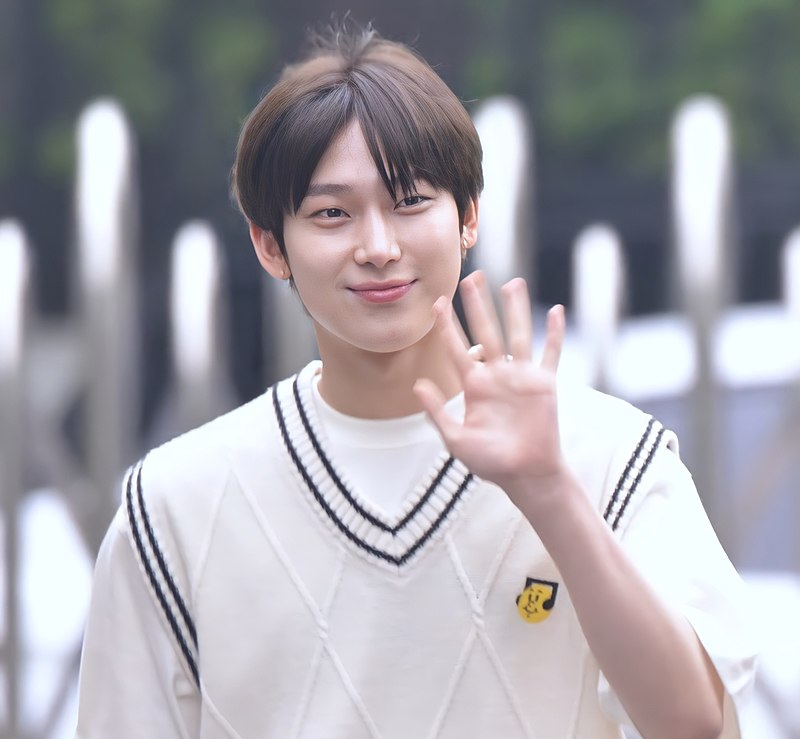 Vote: Best Visual King of KPOP 2024